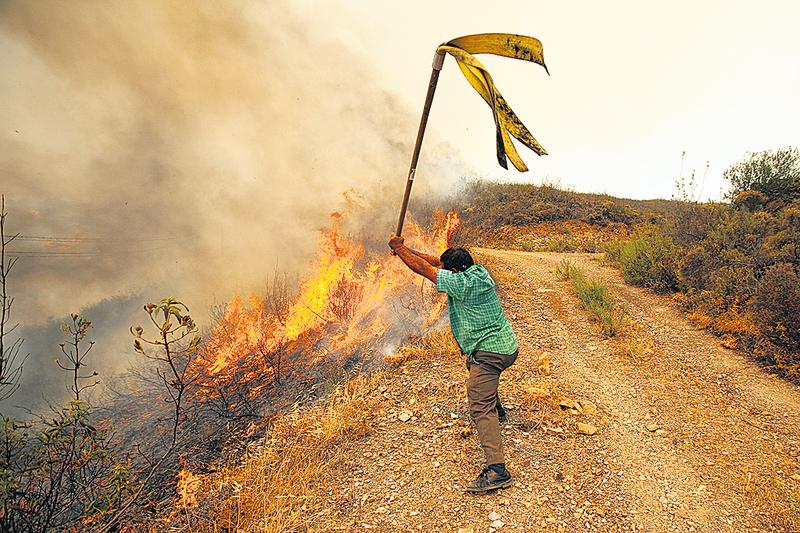 Bombeiros admitem "descontrolo total" no fogo do Algarve ...