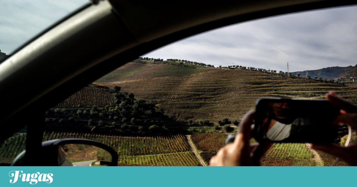 Discover the Hidden Lives Along Portugal's Most Beautiful Road: N222