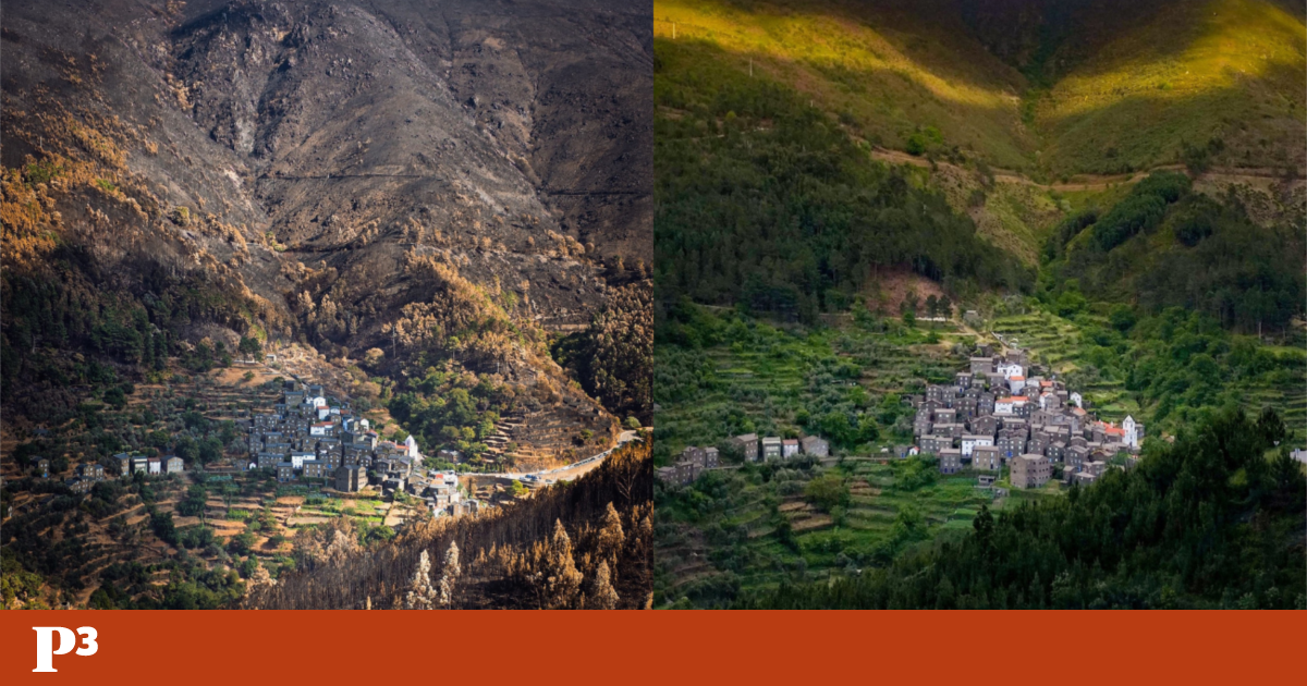 Firefighter's Lens Captures Stunning Before and After of Piódão Wildfire Devastation