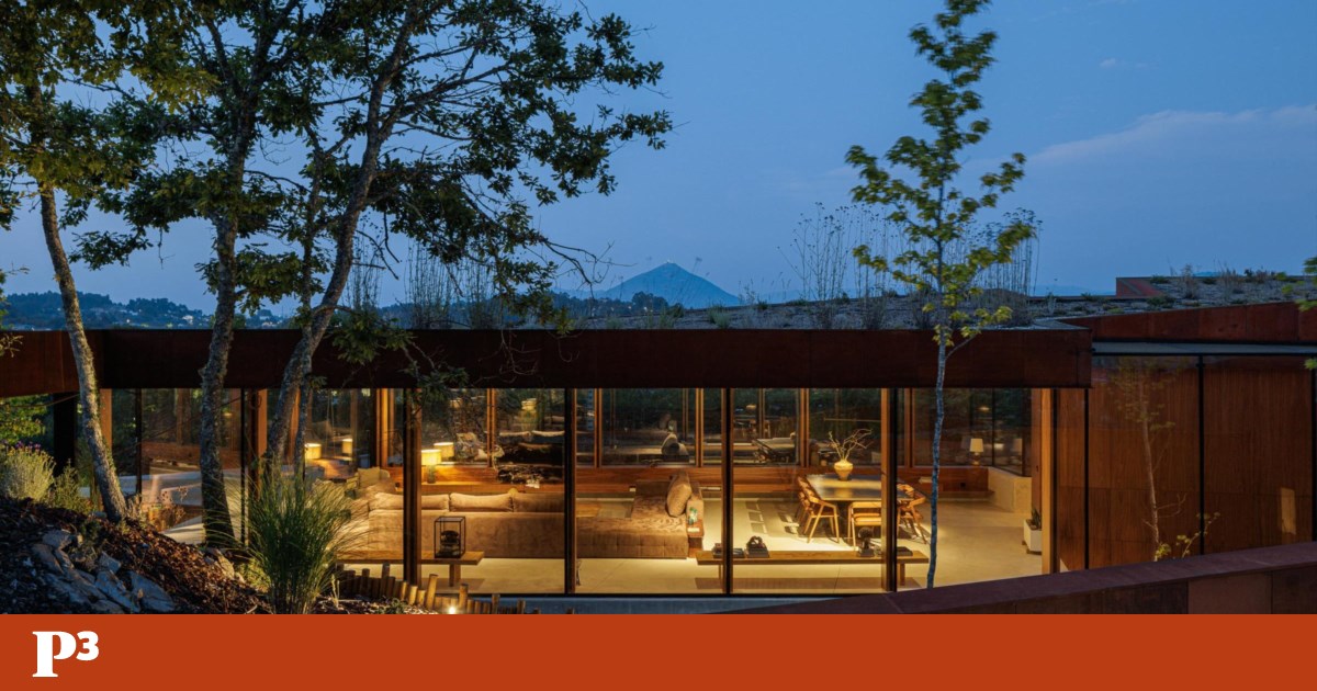 From an old sawmill emerged a house designed into the hillside in Celorico de Basto