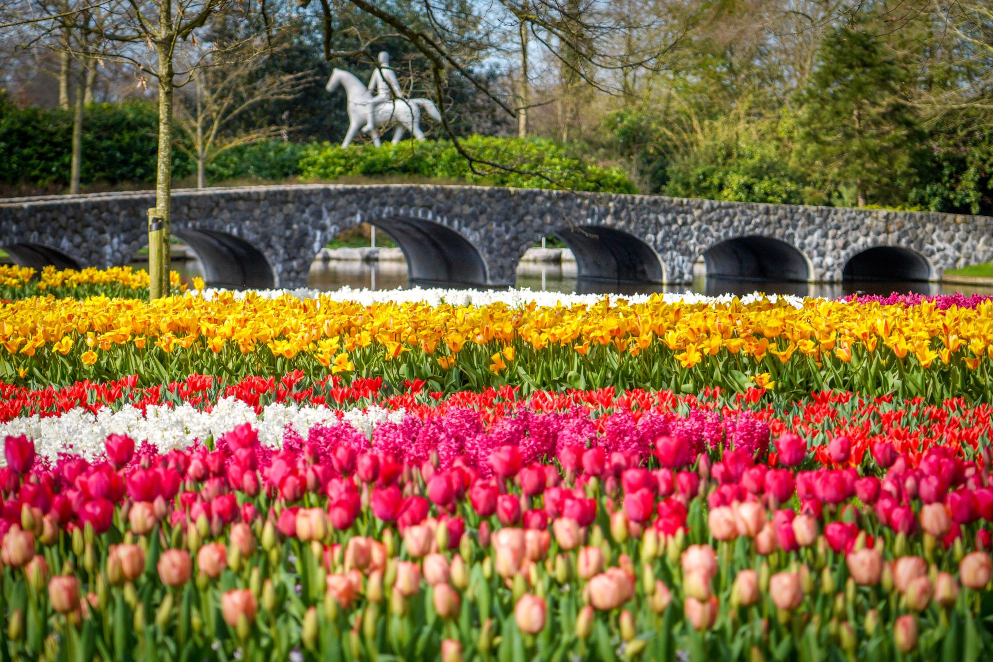 Parque Keukenhof  