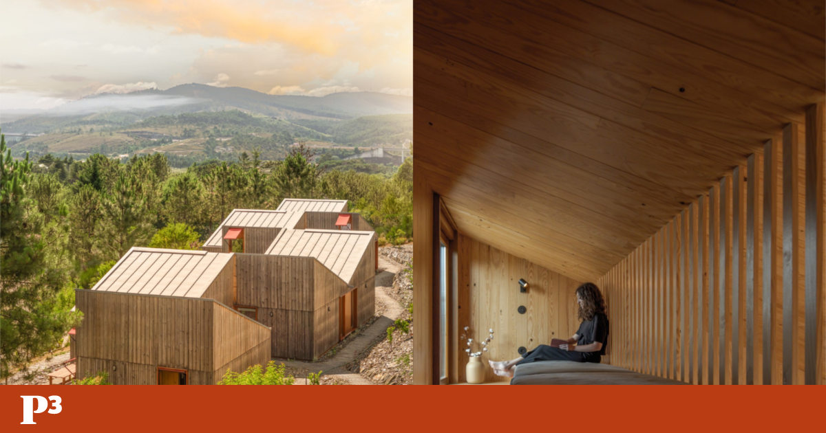 The wooden house that learned the grammar of the Porto Mountains