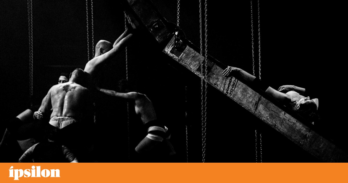 Hornfuckers: restraint, poetry and punk, by Diana Niepce