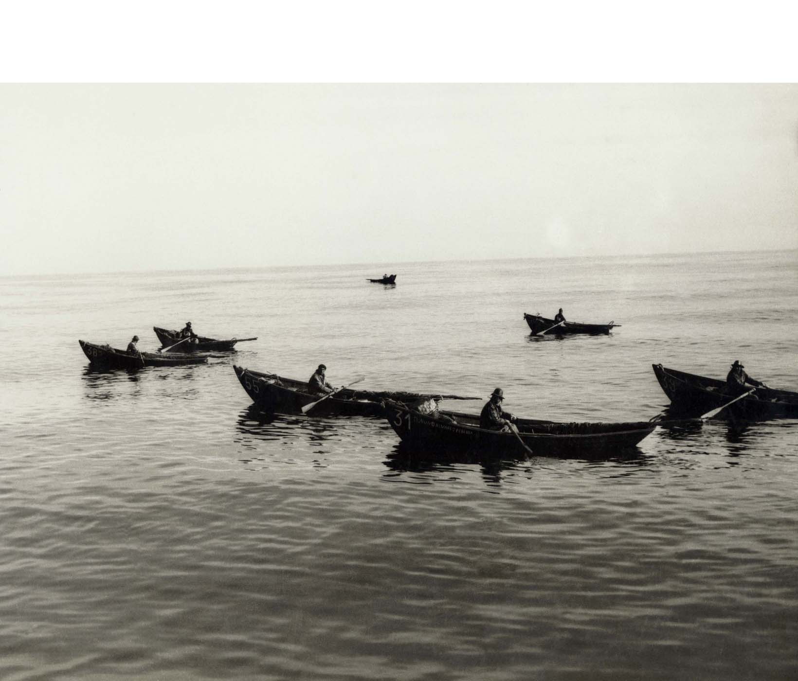 Documentário relata a vida dos portugueses na pesca do bacalhau