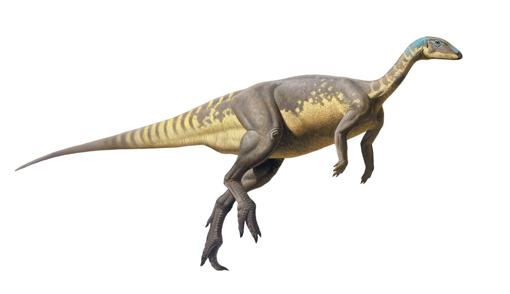 Descoberta uma nova espécie de dinossauro gigante na Península Ibérica