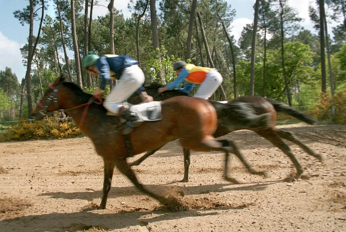 Apostas desportivas bloqueadas Apostas desportivas bloqueadas